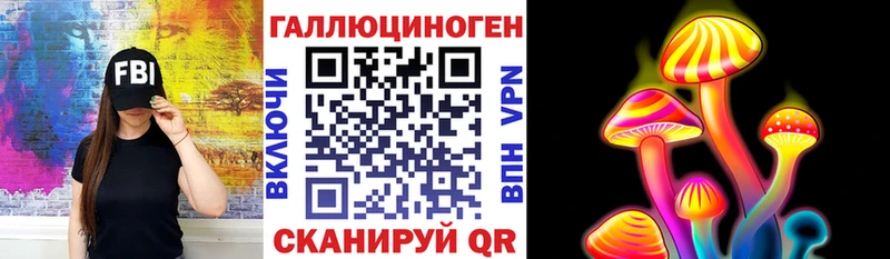 Купить закладки  Медвежьегорск  Галлюциногенные грибы Psilocybine cubensis 